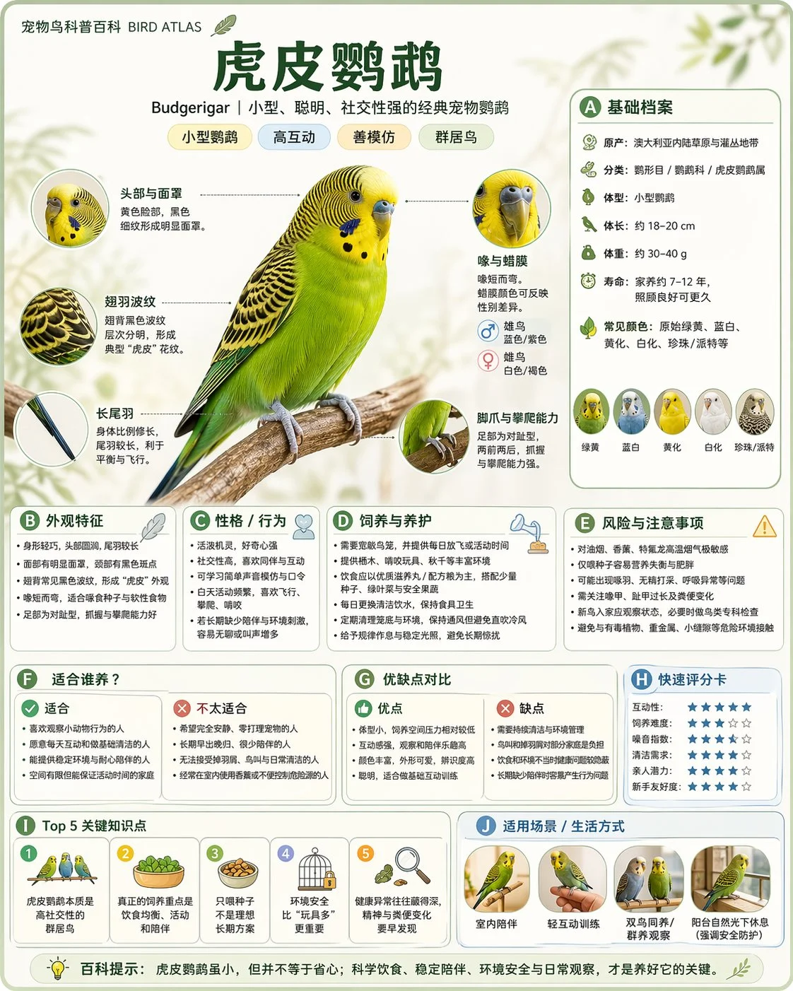 Encyclopedia-Style Knowledge Card