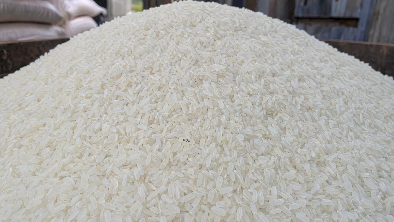 Rice Grain Micro Typography